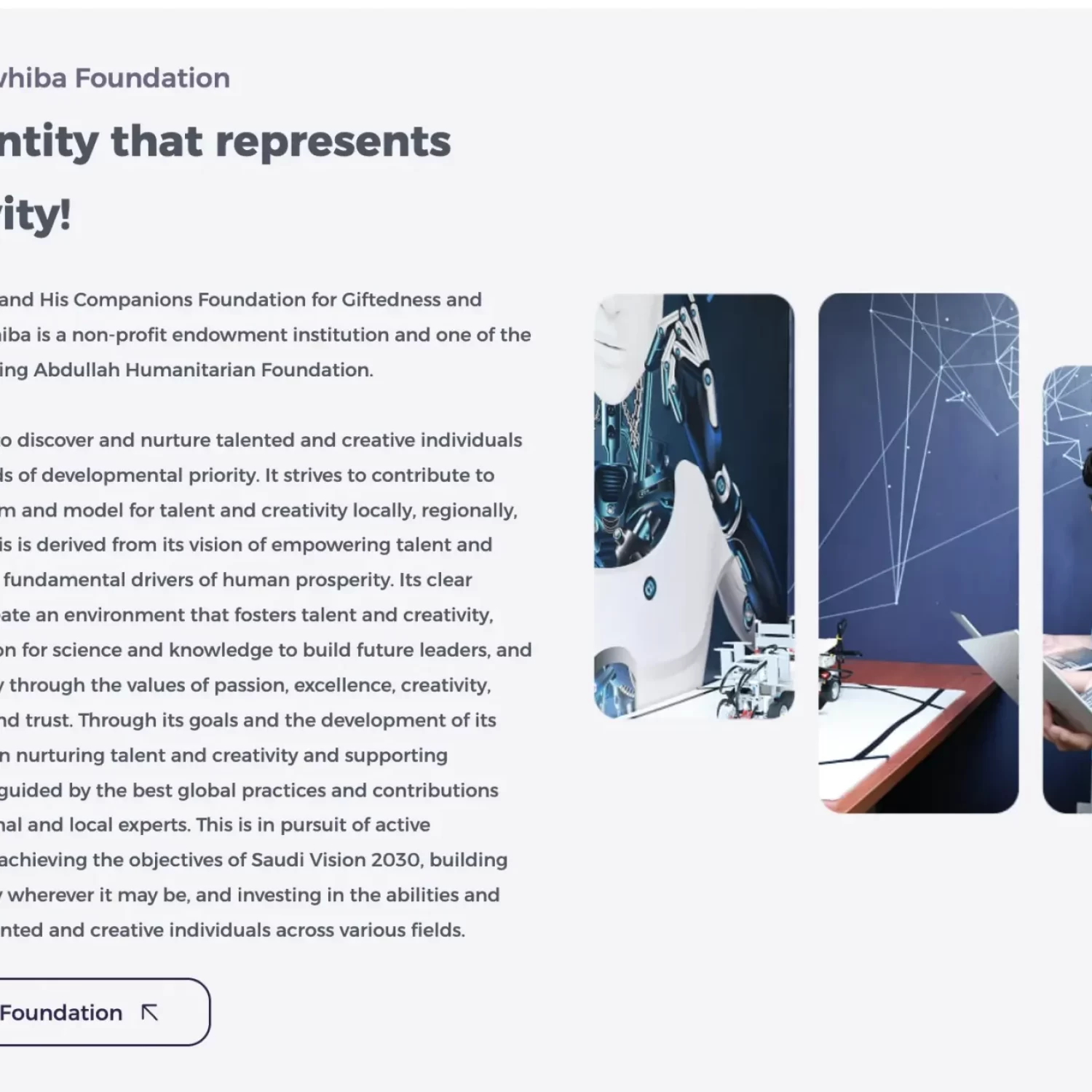 Nonprofit Arabic Copywriting